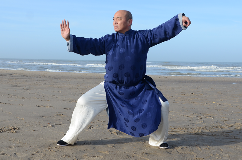 sifu-fei-juli-2016